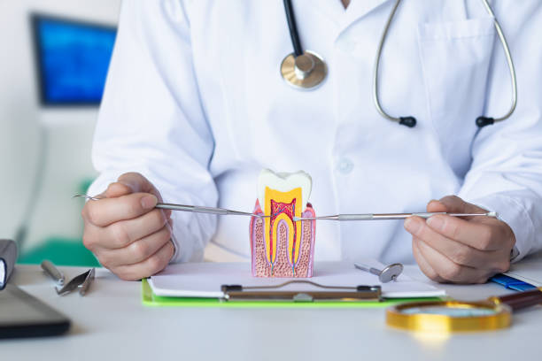 Best Weekend Emergency Dentist in Cricket, NC